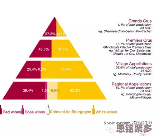 2025年旅行新风尚：物语探索之奇里安深度解析与体验评价