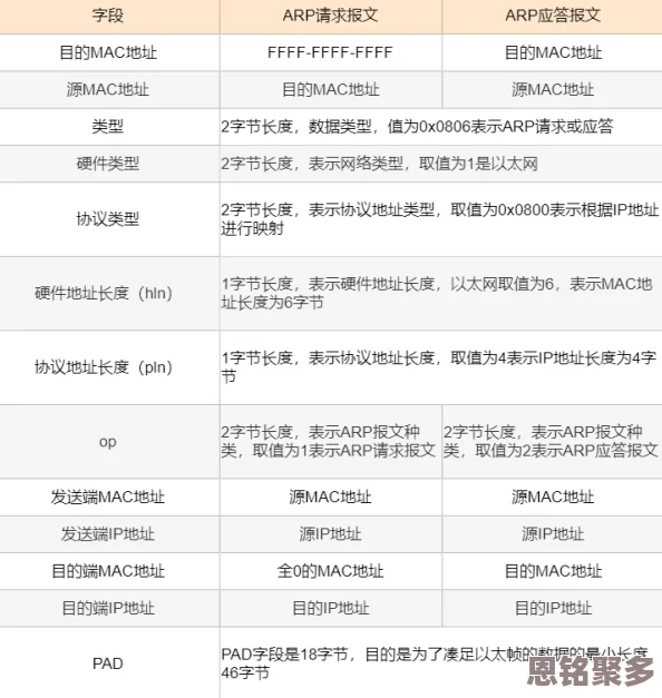 2025世界OL沙漠讨伐战全面解析与最新战术分享